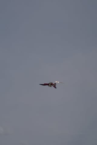 Duńskie F16