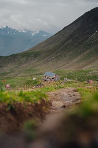 Mountain Hut and Alpine Wildflowers