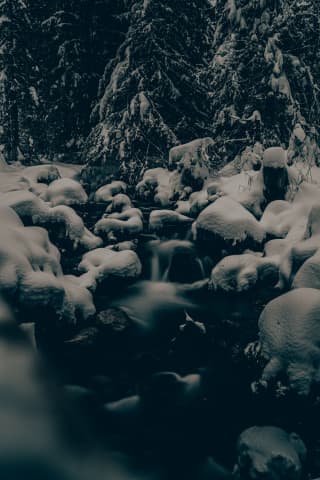 Stream
