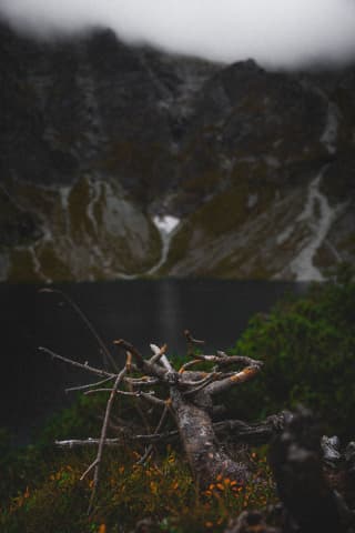 Eye of the Sea