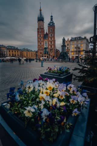 Bazylika św. Marii