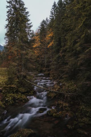 Kościeliska Valley