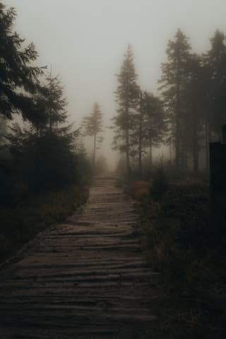 Fog Swallowing The Trail To Barania Góra