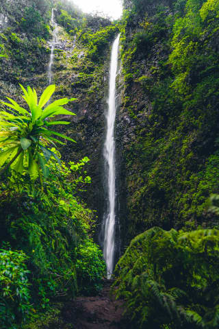 Caldeirão Verde