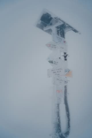 Frozen Signpost