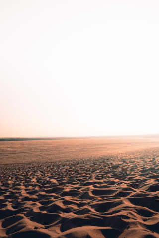 Błędowska Desert photoshoot