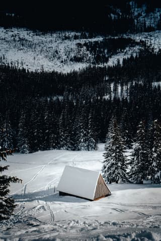 Kalatówki