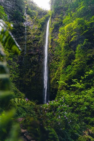 Caldeirão Verde