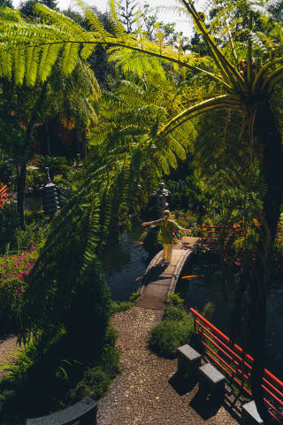Monte Palace na Maderze