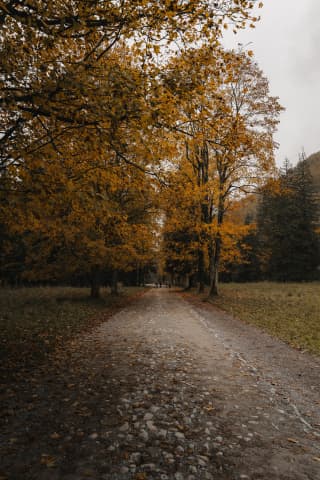 Kościeliska Valley