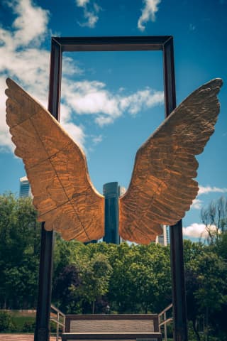 Alas de México