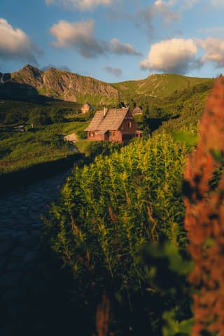 Hala Gąsienicowa