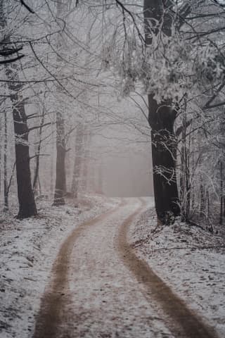 Frost-Bound Forest Track Near Kiczera