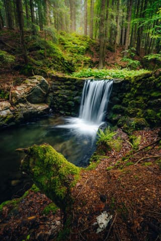 Mossy Forest Waterfall On The Way To Pradziad
