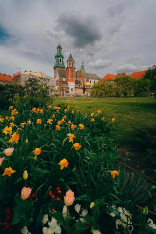 Wawel