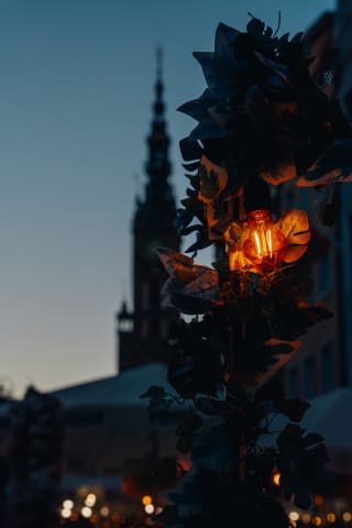 Nastrojowe światło z wieżą Ratusza w tle