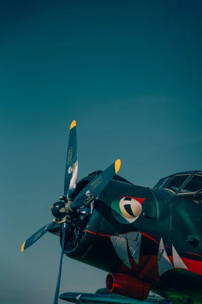 Antonov AN-2 - Wiedeńczyk