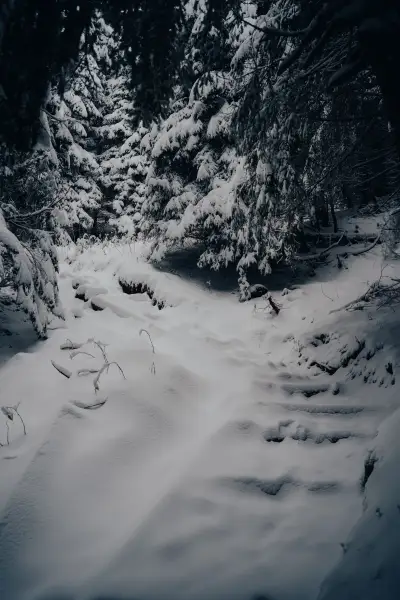 Yellow trail from PTTK Ornak