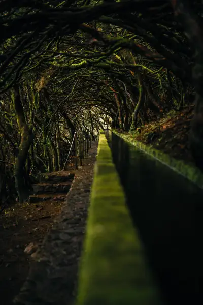 PR6 25 Fontes hike & Levada do Risco