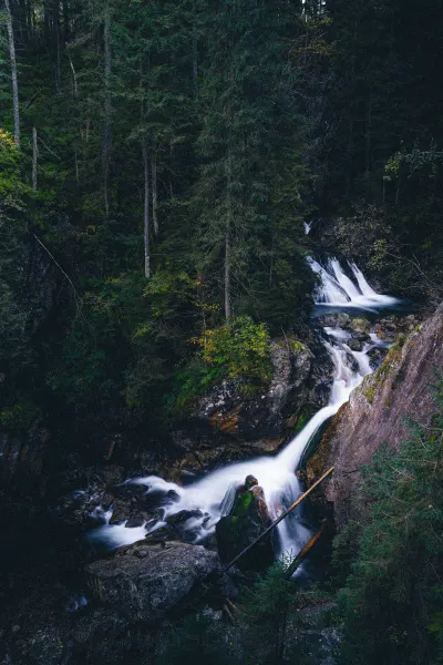 Wodogrzmoty Mickiewicza