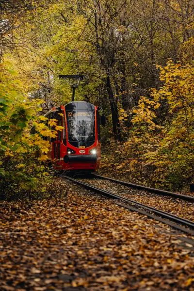 Tram in autumn colors