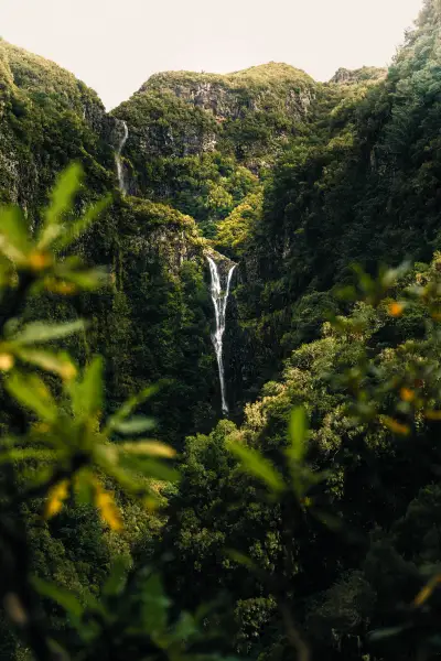 PR6 25 Fontes hike & Levada do Risco