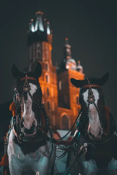 Horses and St. Mary's Basilica