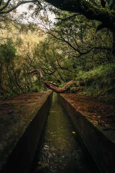 PR6 25 Fontes hike & Levada do Risco