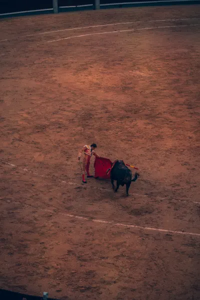 Bullfight