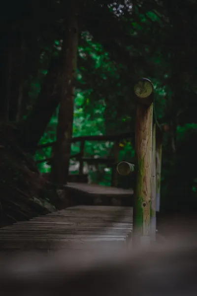 Wooden footbridhe in Jánošíkové diery