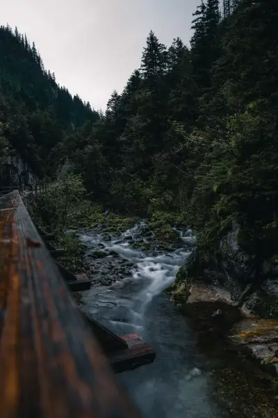 Stream in Kościeliska Valley