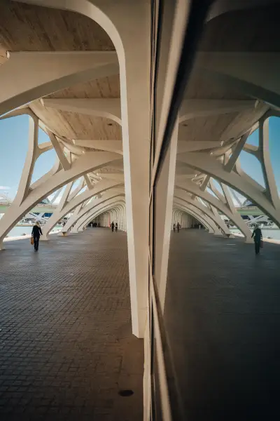 City of Arts and Sciences