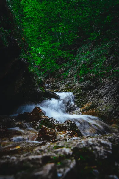 Stream in Jánošíkové diery