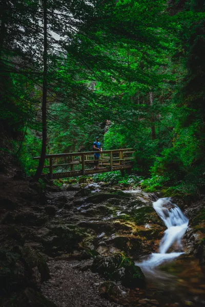 Bridge with small stream in Jánošíkové diery