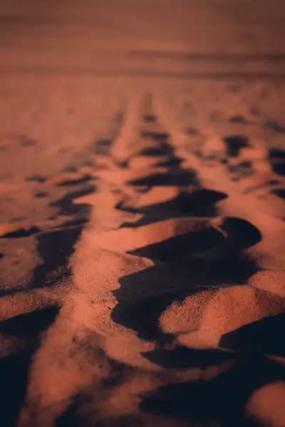 Błędowska Desert photoshoot