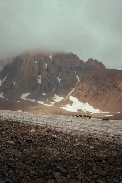 Horse Caravan Crossing the Glacier
