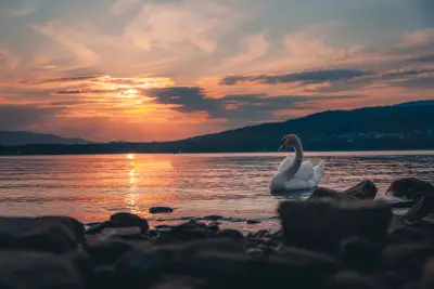 Guardian of the Lake
