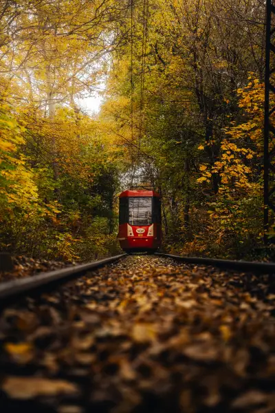 Tram in autumn colors