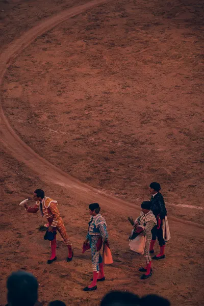 Bullfight