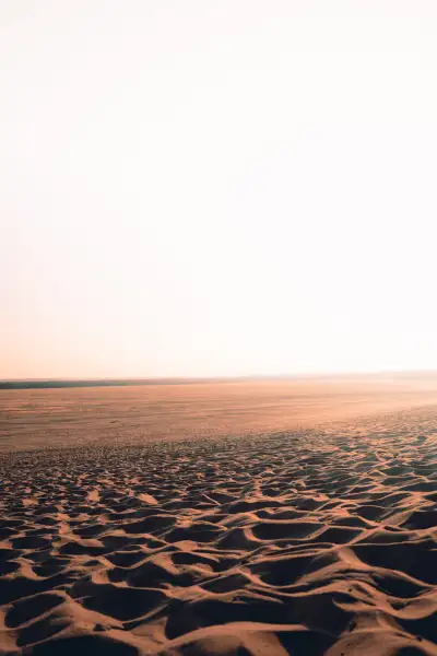 Błędowska Desert photoshoot