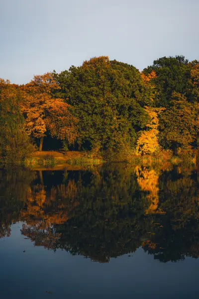 Autumn in Silesia Park