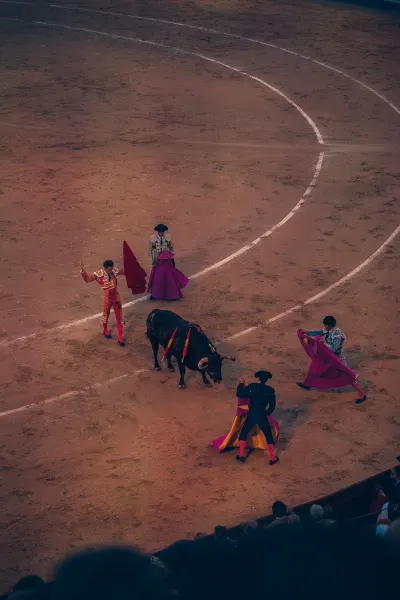 Bullfight