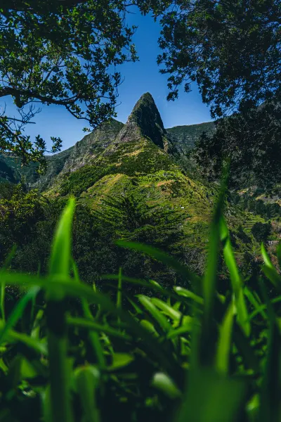 Miradouro do Pico da Murta