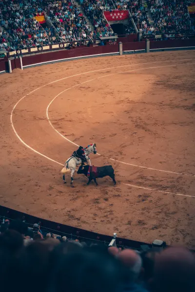 Bullfight