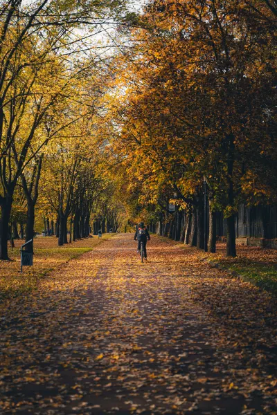Autumn in Silesia Park