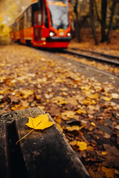 Tram in autumn colors