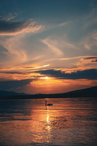 Silhouette at Sunset