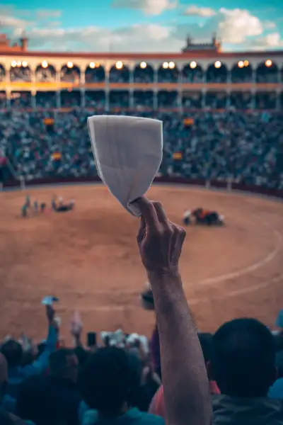 Bullfight