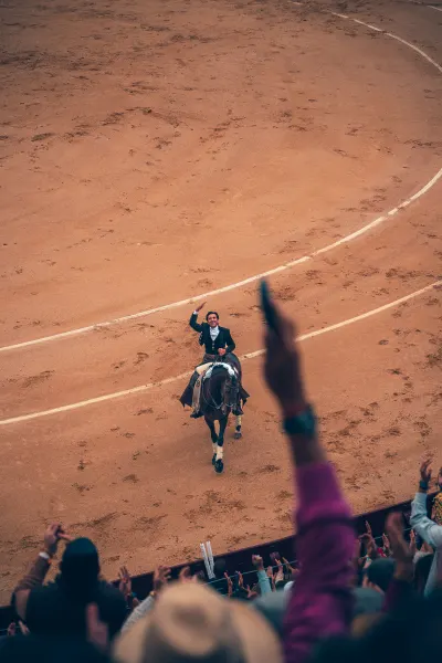 Bullfight