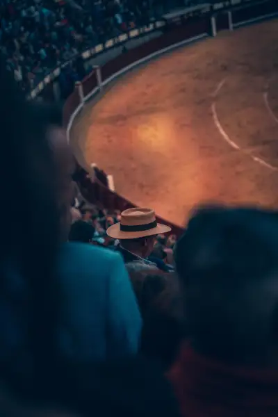 Man watching bullfight